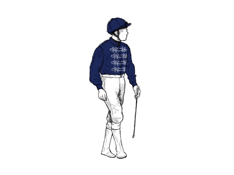 Aidan Butler Silks logo