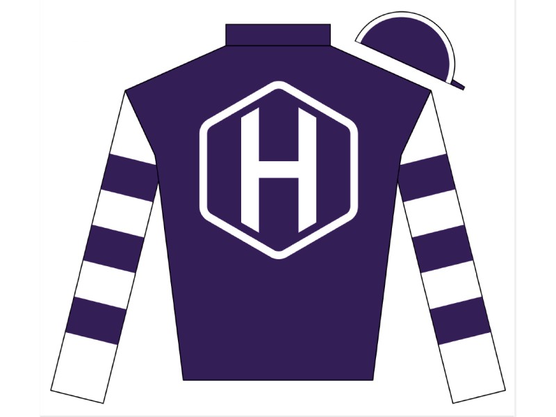 Halling TB logo