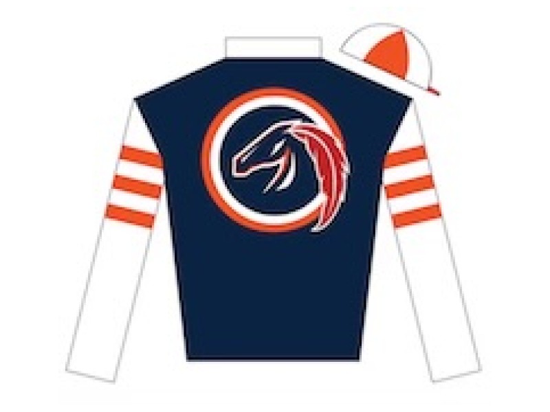 LRF Silks logo