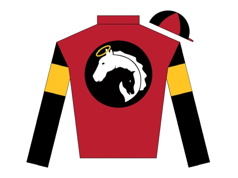 Sos Silks logo