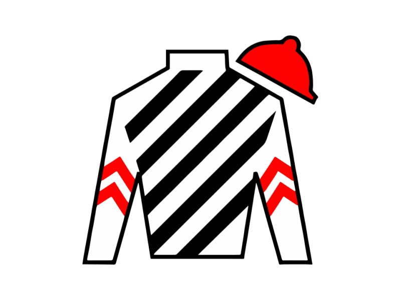 David Ingordo Silks