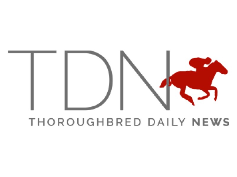 Thoroughbred Daily News Logo